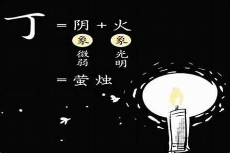 丙火 乙木|解析十天干丙火 – 丙火的性质